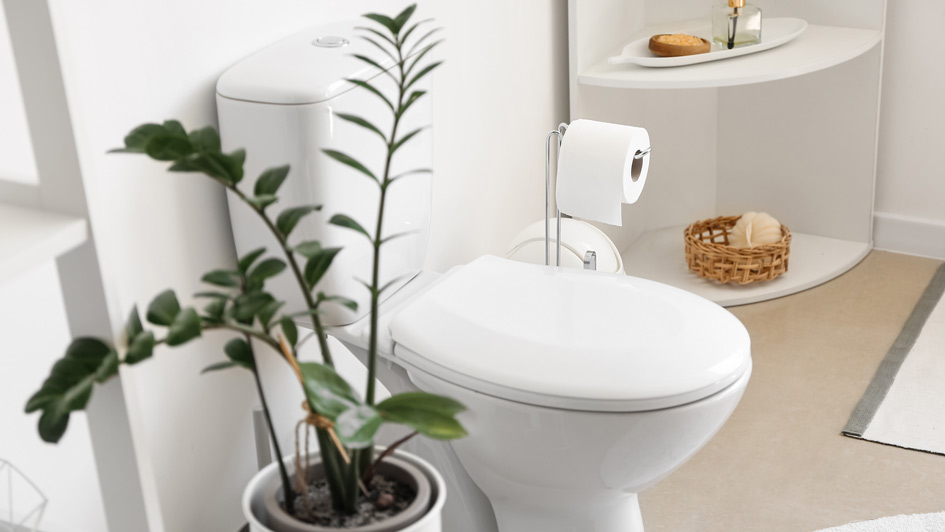 Answered: Why Your Toilet Keeps Running and Five Other Plumbing Issues